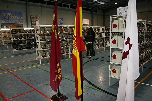  5 Campeonato Ornitolgico Regional Murciano - 58