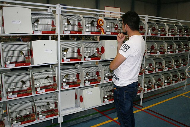  5 Campeonato Ornitolgico Regional Murciano - 62