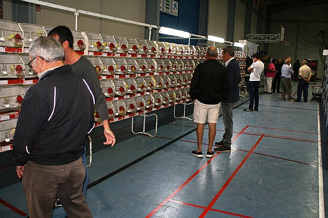  5 Campeonato Ornitolgico Regional Murciano - 65