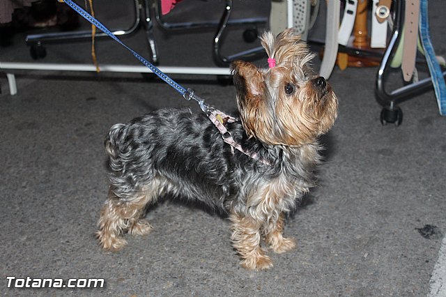 VI Feria Outlet - 242