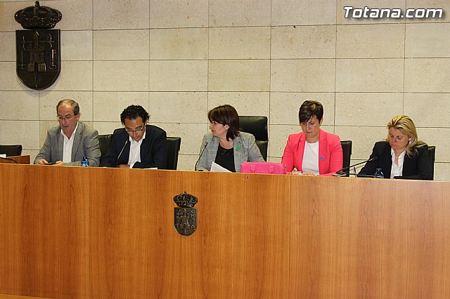 Pleno ordinario abril 2014 - 1