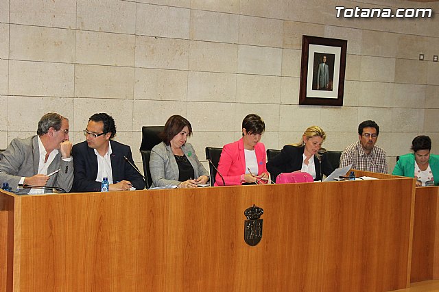 Pleno ordinario abril 2014 - 4