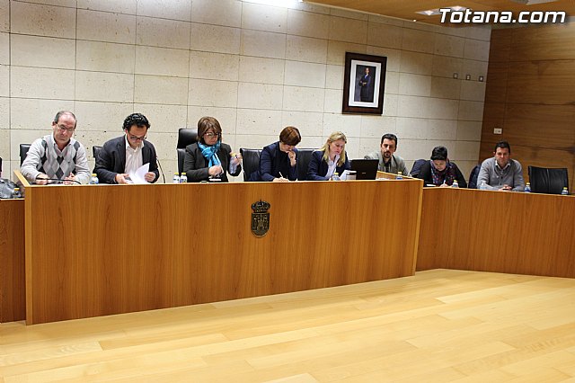 Pleno ordinario febrero 2015 - 6