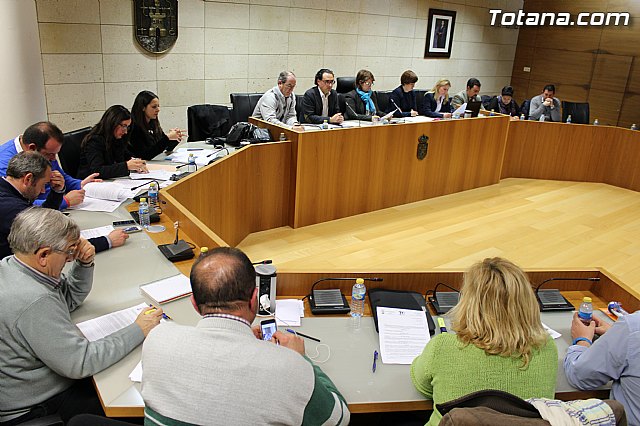 Pleno ordinario febrero 2015 - 8