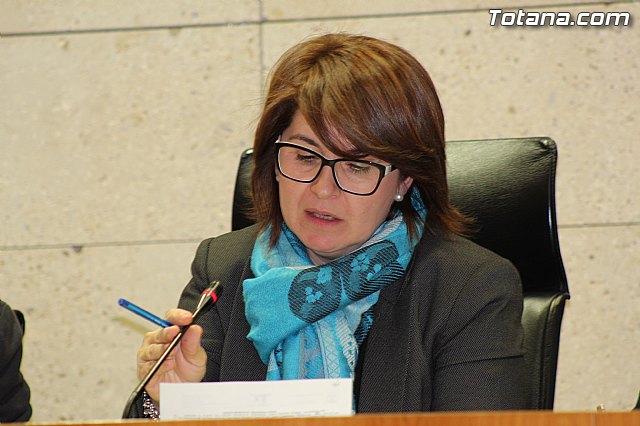 Pleno ordinario febrero 2015 - 14