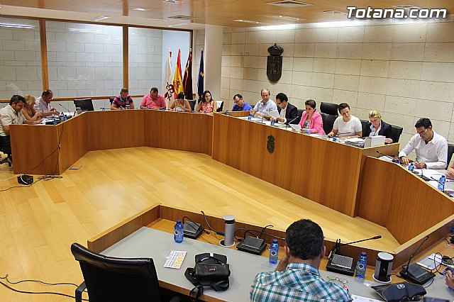 Pleno ordinario junio 2014 - 1