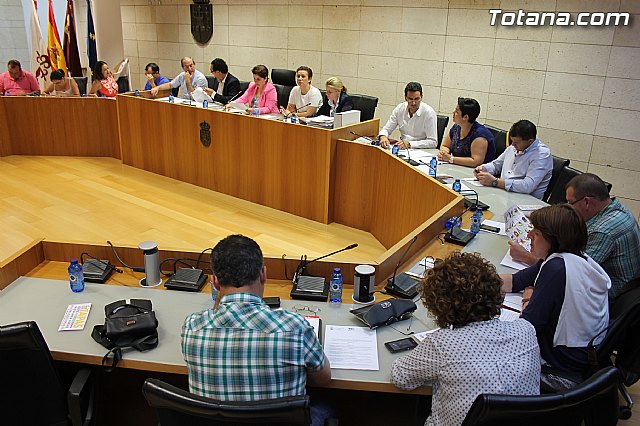 Pleno ordinario junio 2014 - 2