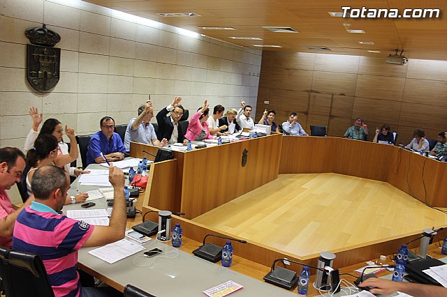 Pleno ordinario junio 2014 - 3