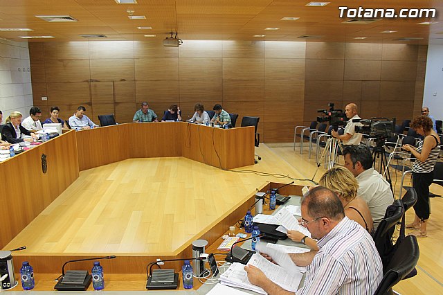 Pleno ordinario junio 2014 - 5