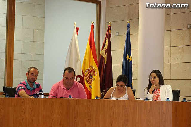 Pleno ordinario junio 2014 - 10