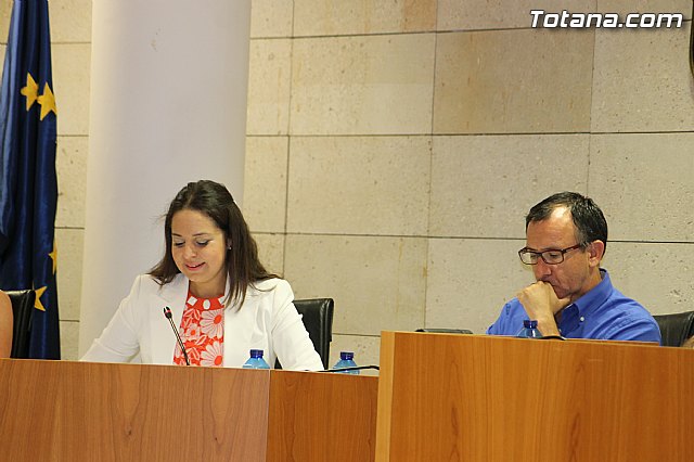 Pleno ordinario junio 2014 - 17