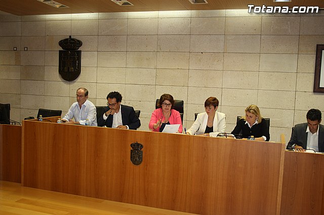 Pleno ordinario Septiembre 2014 - 10