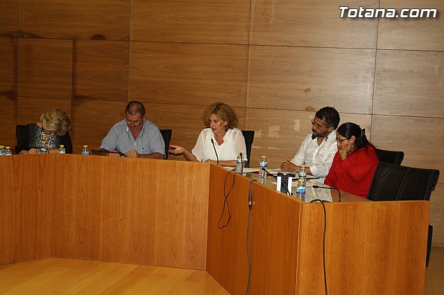 Pleno ordinario Septiembre 2014 - 15