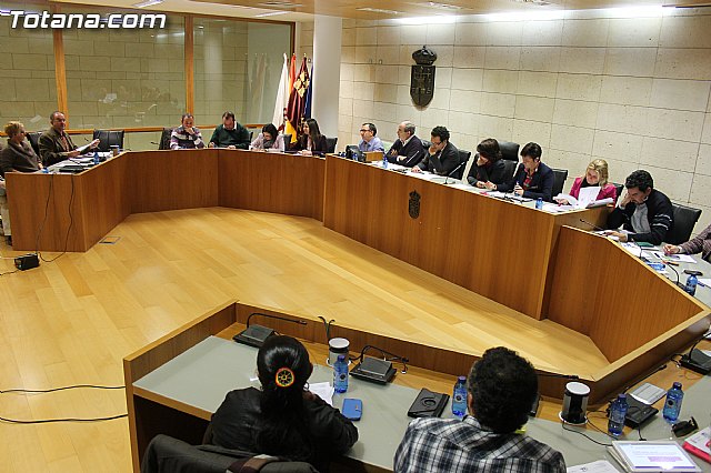 Pleno ordinario enero 2014 - 1