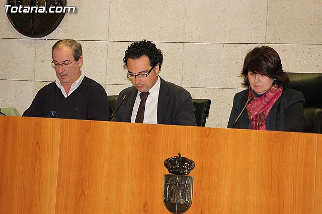 Pleno ordinario enero 2014 - 4