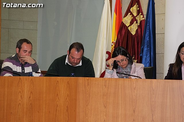 Pleno ordinario enero 2014 - 5