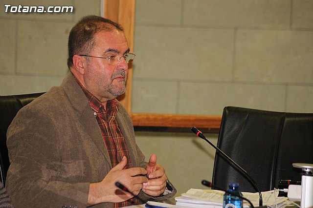 Pleno ordinario enero 2014 - 7