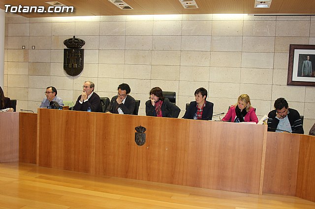 Pleno ordinario enero 2014 - 9