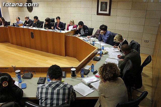 Pleno ordinario enero 2014 - 10