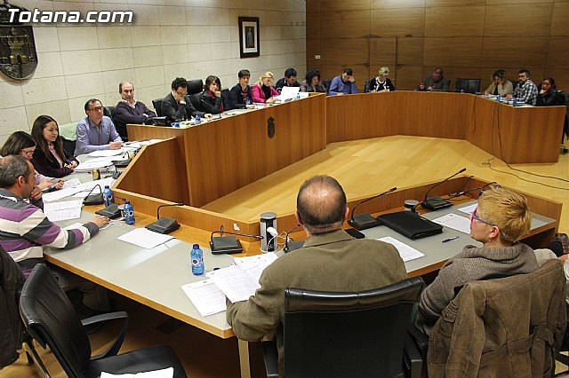 Pleno ordinario enero 2014 - 11