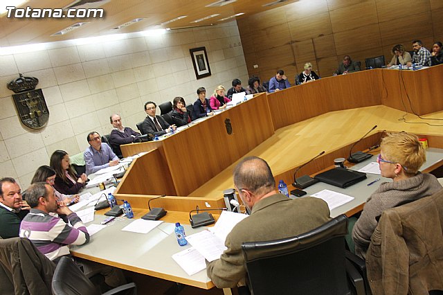 Pleno ordinario enero 2014 - 15