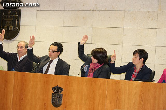 Pleno ordinario enero 2014 - 17