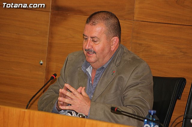 Pleno ordinario enero 2014 - 21