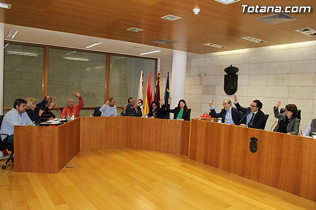 Pleno ordinario noviembre 2014 - 1
