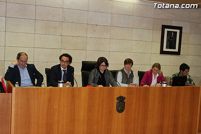 Pleno ordinario noviembre 2014 - 2