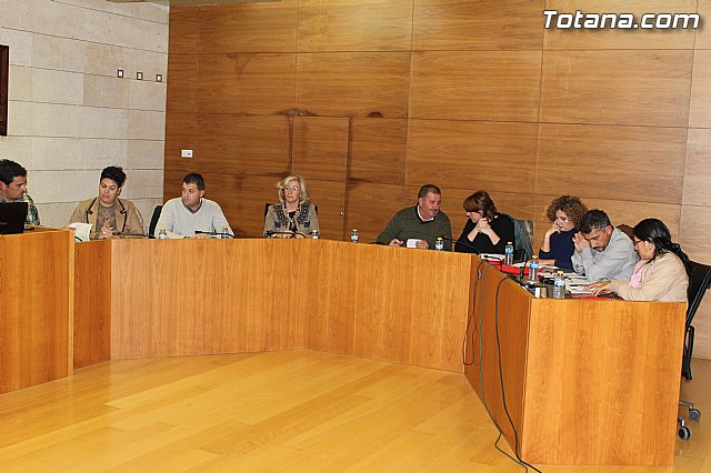 Pleno ordinario noviembre 2014 - 3
