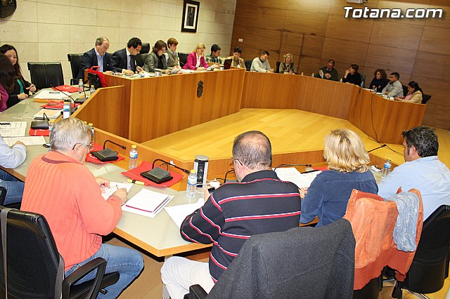Pleno ordinario noviembre 2014 - 4