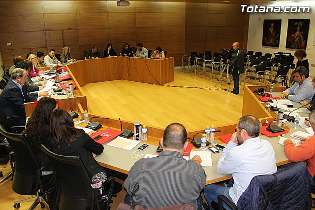 Pleno ordinario noviembre 2014 - 6