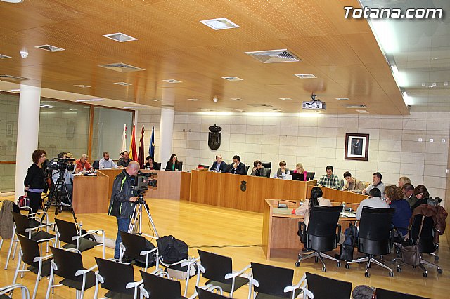 Pleno ordinario noviembre 2014 - 7