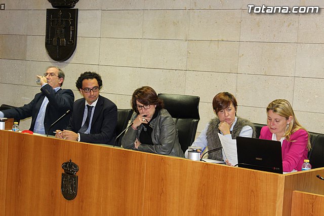 Pleno ordinario noviembre 2014 - 8