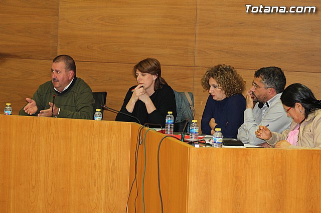 Pleno ordinario noviembre 2014 - 11