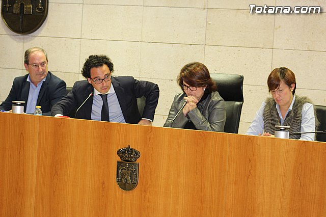 Pleno ordinario noviembre 2014 - 12