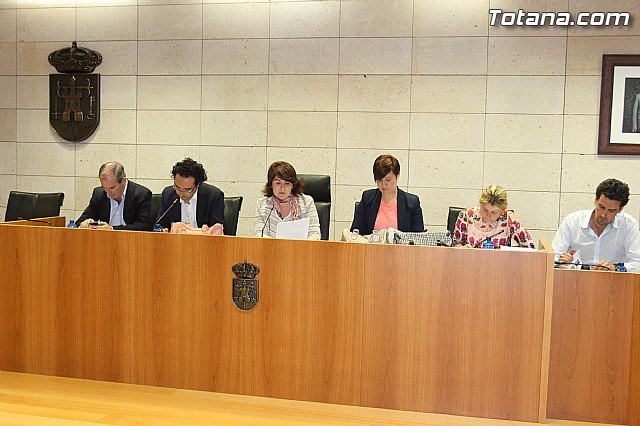 Pleno ordinario mayo 2014 - 2