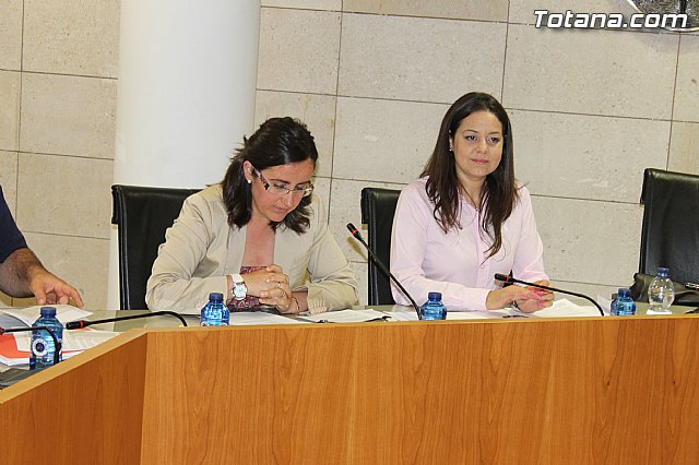 Pleno ordinario mayo 2014 - 5