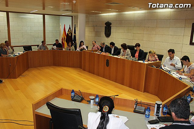 Pleno ordinario mayo 2014 - 6