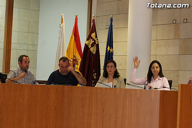 Pleno ordinario mayo 2014 - 9