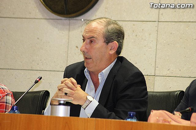 Pleno ordinario mayo 2014 - 12