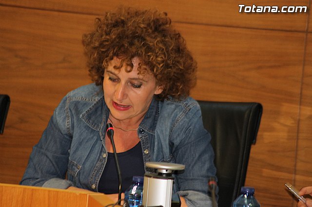 Pleno ordinario mayo 2014 - 17