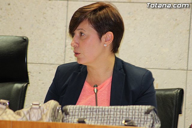 Pleno ordinario mayo 2014 - 18