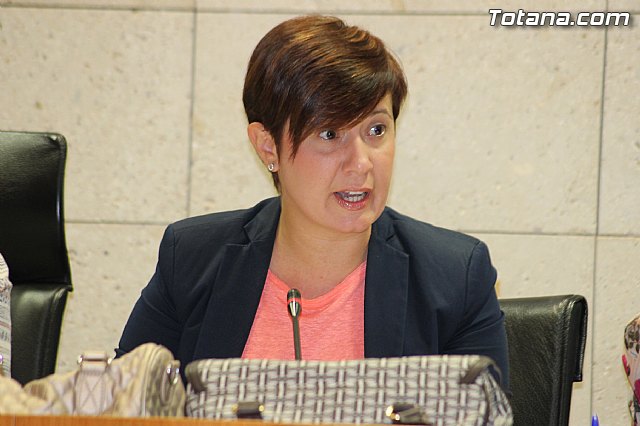 Pleno ordinario mayo 2014 - 19