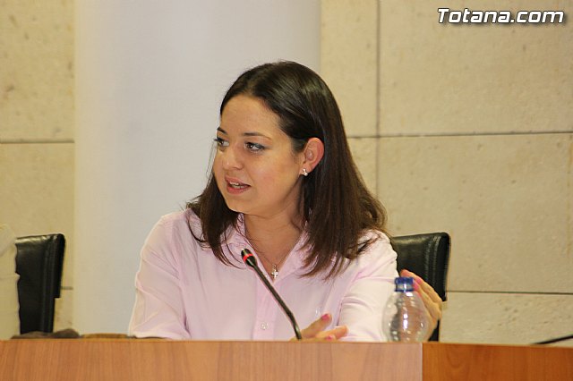 Pleno ordinario mayo 2014 - 23