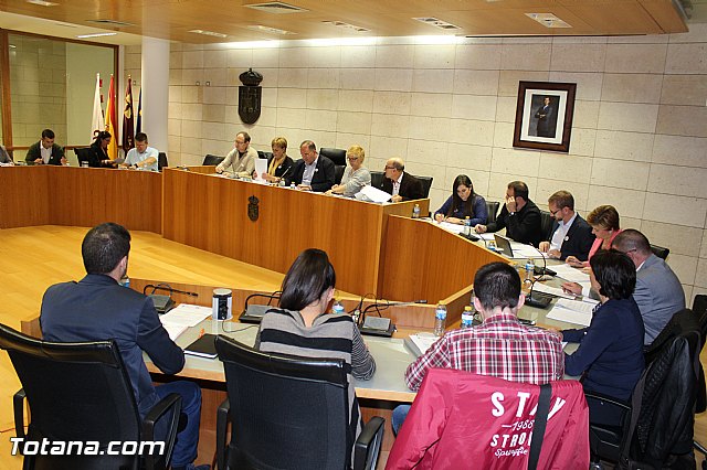 Pleno ordinario octubre 2015 - 2