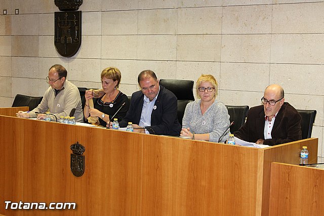 Pleno ordinario octubre 2015 - 4