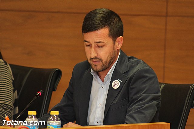 Pleno ordinario octubre 2015 - 11