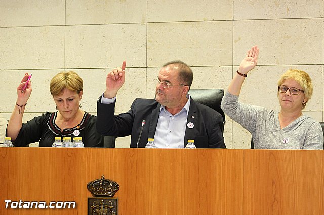 Pleno ordinario octubre 2015 - 16