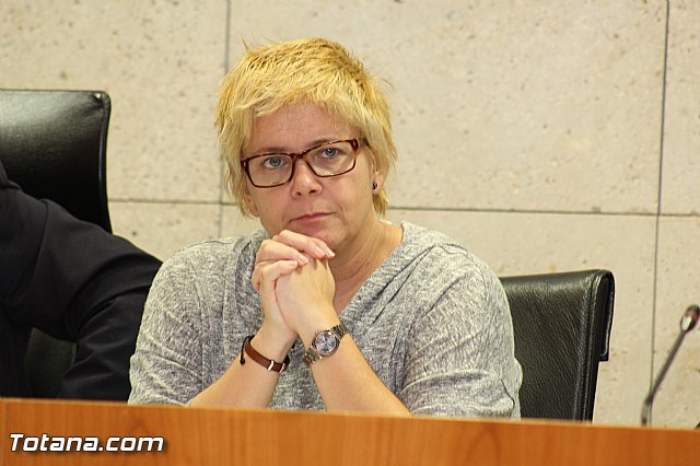 Pleno ordinario octubre 2015 - 18